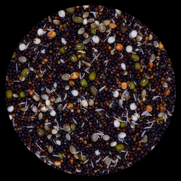 Vaesen - Germination Seed - Canaries & European + Rapeseed - 18