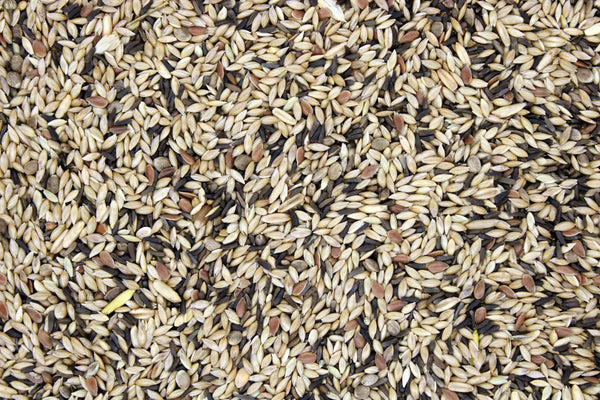 Bamfords Canary Supreme 20kg