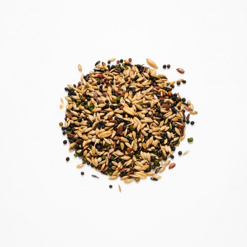 Countrywide Breeders Canary With Vam 20kg