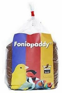 Foniopaddy 1kg