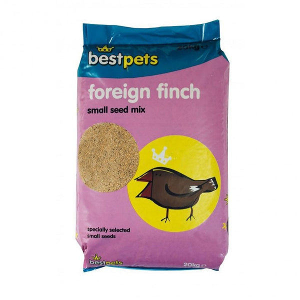 FOREIGN FINCH best pets