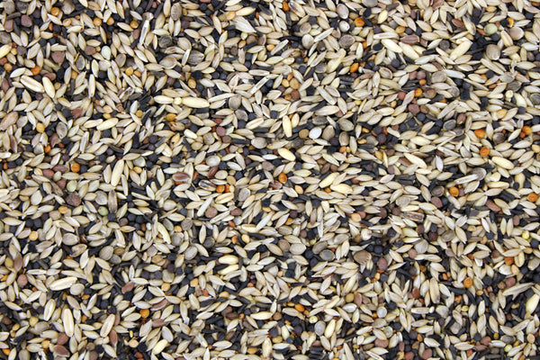 Bamfords Goldfinch & Siskin 20kg