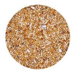 Vaesen - Budgie Extra 20kg - No.20