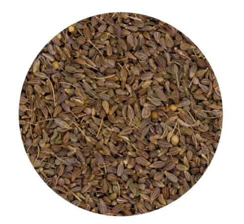 Aniseed