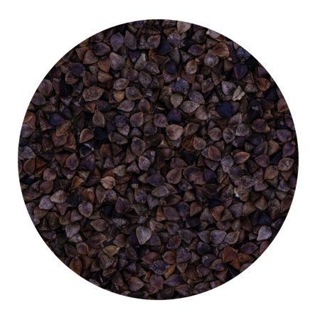 Buckwheat