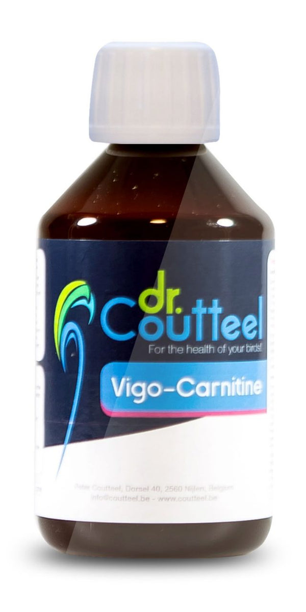 Vigo Carnitine 250ml