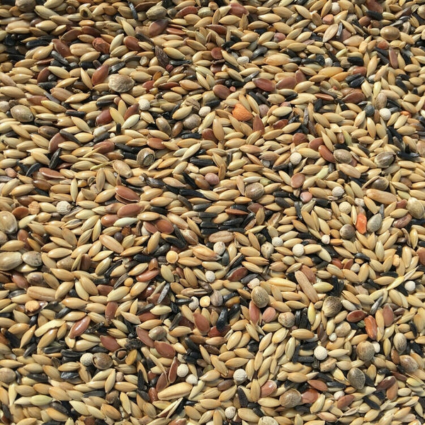 Vaesen - Canary Mix - No Rape - No.16