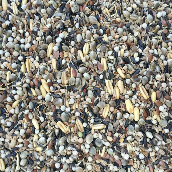 Vaesen Condition No.211