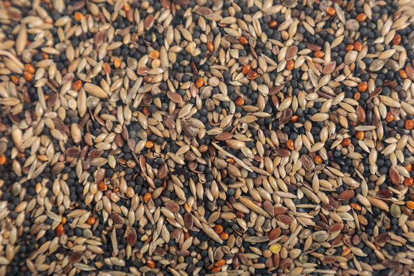 bamfords british finch