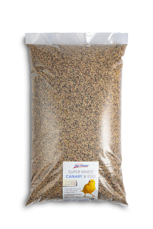 bamfords super canary with egg