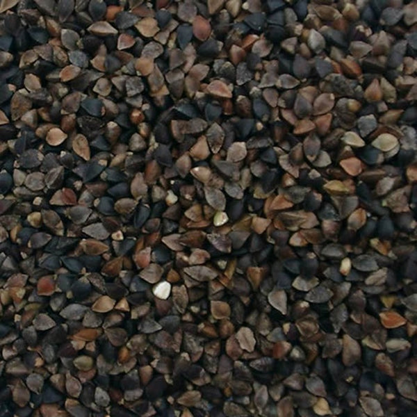 Buckwheat