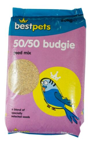 budgie-50