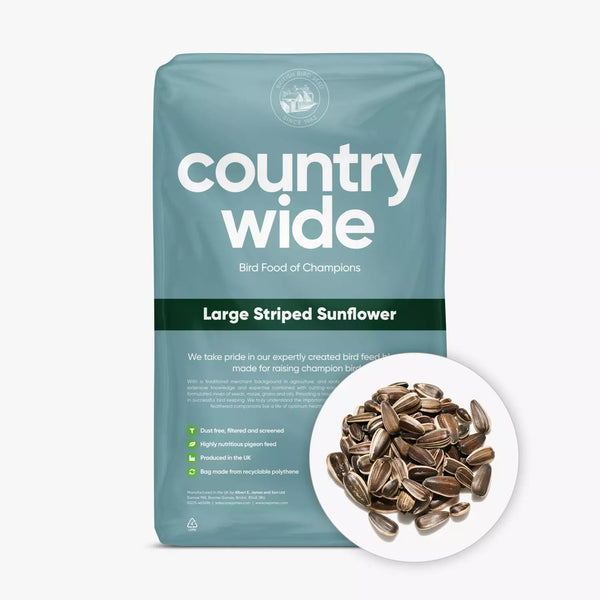 Striped Sunflower Seed (Medium/Large) 12.55kg