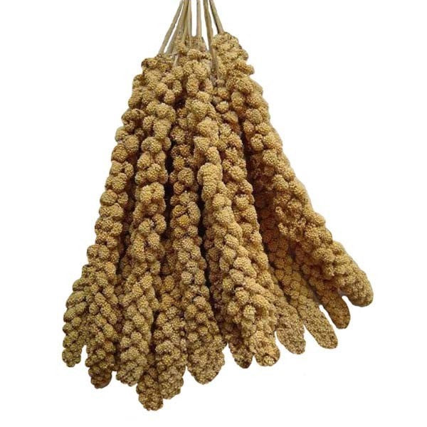 Premium Millet Sprays