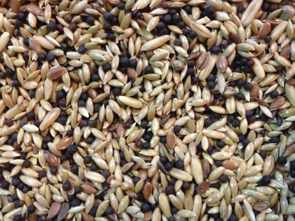 Vaesen - Classic Canary Mix - No.331/10