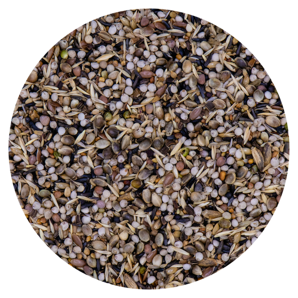 Vaesen - Goldfinches Major - No.208 - 15kg