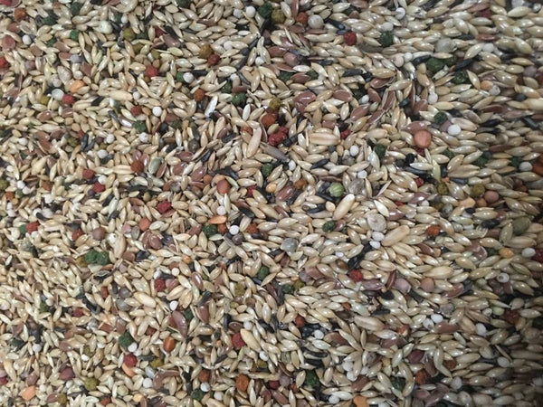 Vaesen - Canary Excellent Opti Mix - 5kg - No.58